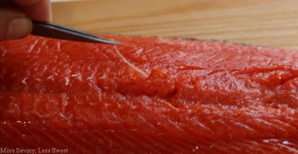 salmon 007.22